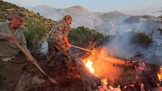 سال گذشته ۳۰۵ هکتار از اراضی ملی گلستان دچار حریق شد