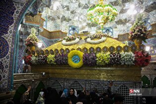حال و هوای حرم حضرت معصومه (س) در روز ولادت ایشان