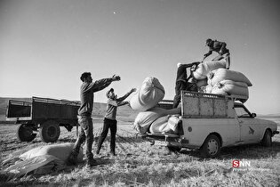 ۱۱ اردیبهشت؛ روز کارگر