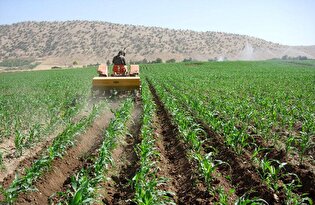 تاب‌آوری خوزستان در بحران خشکسالی؛ الگویی برای ایران