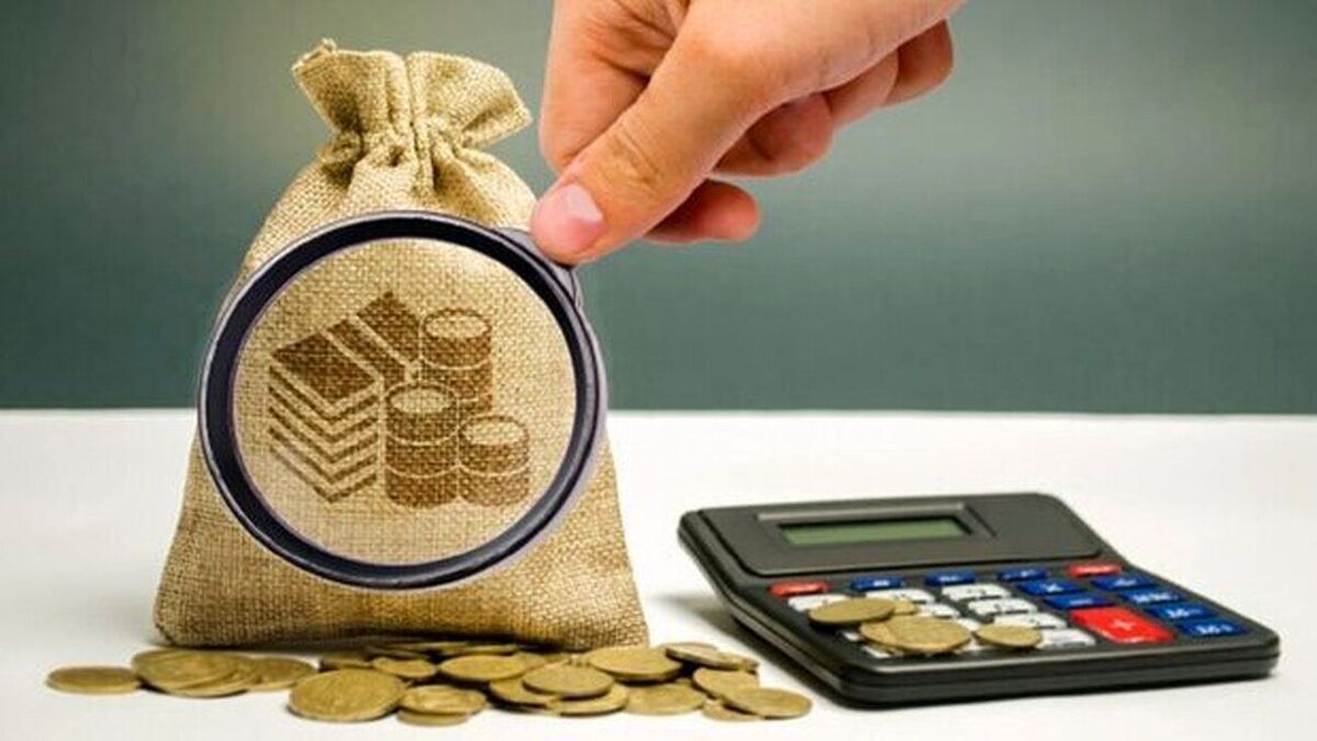 شناسایی فرار مالیاتی ۶۷۷ میلیارد تومانی یک صندوق قرض الحسنه