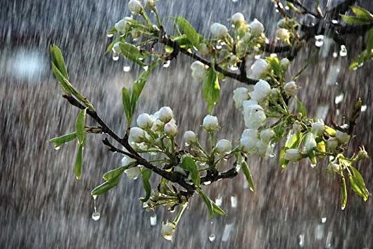 هواشناسی مازندران هشدار سیلاب صادر کرد