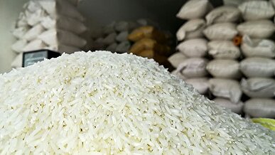 عرضه برنج درجه یک ایرانی در میادین میوه ۳۰ درصد ارزان‌تر از سطح شهر