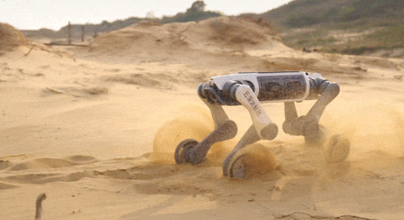 ربات چینی M20: قدرتی بی&zwnj;مانند در دل طبیعت وحشی/ ام 20 در طوفان دریا شنا میکند و در میانه شن های صحرا و گل و لای باتلاق بدون محدودیت تردد میکند