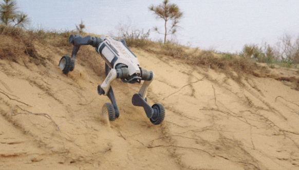 ربات چینی M20: قدرتی بی&zwnj;مانند در دل طبیعت وحشی/ ام 20 در طوفان دریا شنا میکند و در میانه شن های صحرا و گل و لای باتلاق بدون محدودیت تردد میکند