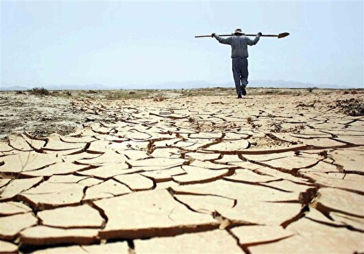 خشکسالی ۶۰ درصد مزارع دیم گچساران را از برداشت گندم محروم کرد