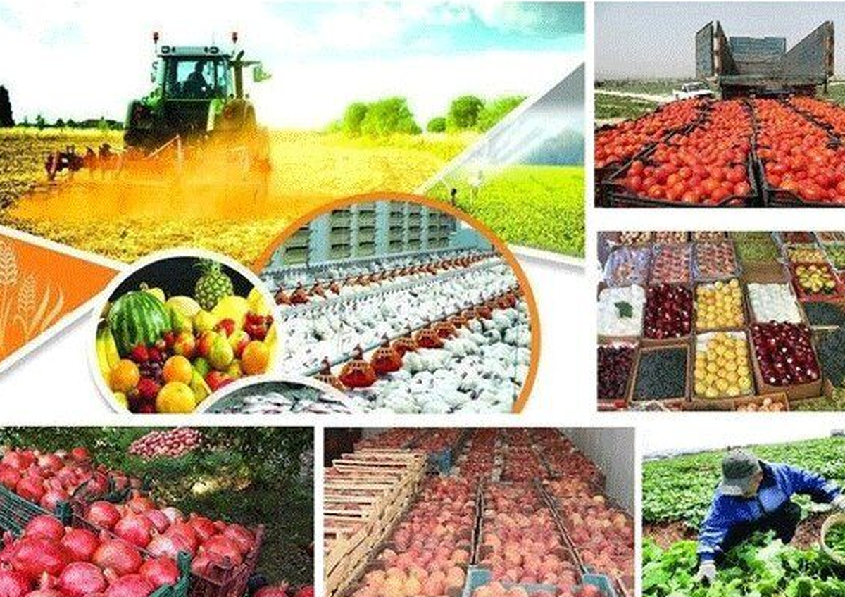 قیمت کالاهای اساسی کشاورزی بهزودی اعلام میشود