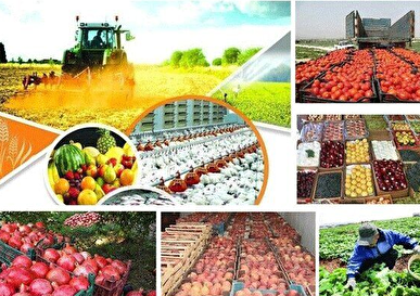 قیمت کالا‌های اساسی کشاورزی به‌زودی اعلام می‌شود