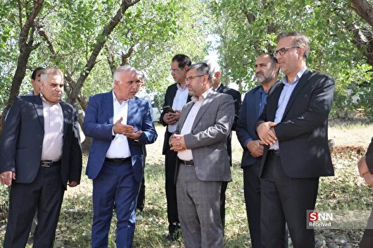 برخورد قضایی با قطع درختان بلوط در یاسوج