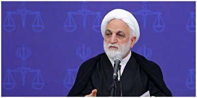 اژه‌ای: معلمین می‌‎توانند کمک‌کار دستگاه قضایی باشند