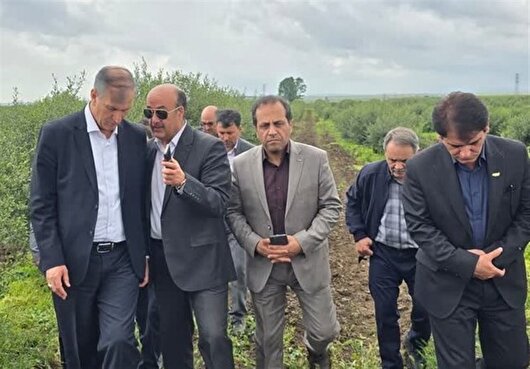 اشتغال ۱۸۰۰ نفر در گلخانه‌های پارس‌آباد