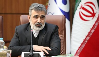 برخورداری کامل از فناوری صلح‌آمیز هسته‌ای،‌ حق ایران است