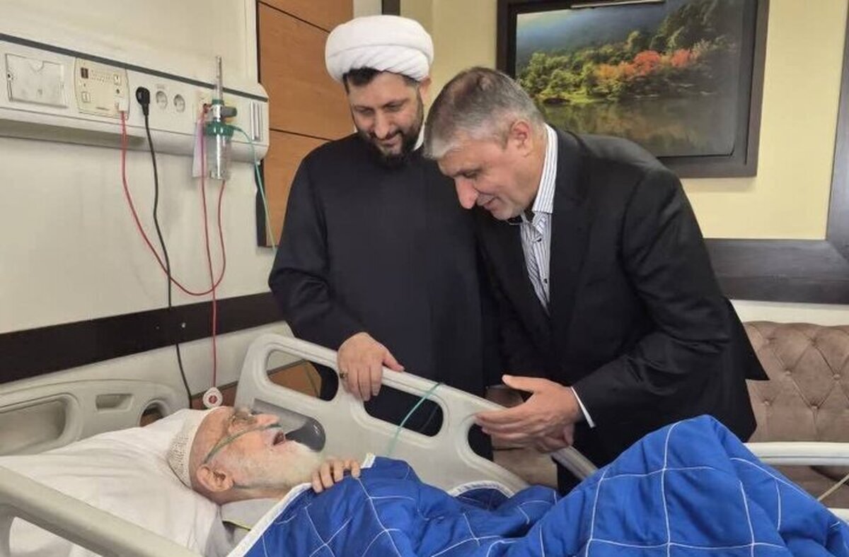 عیادت رئیس سازمان انرژی اتمی از آیتالله العظمی نوری همدانی