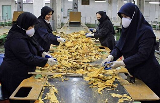 ۵۰۶ طرح مشاغل خانگی خراسان‌شمالی در انتظار دریافت تسهیلات