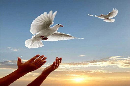 ۸۸ محکوم مالی جرائم غیرعمد در البرز با کمک خیرین آزاد شدند