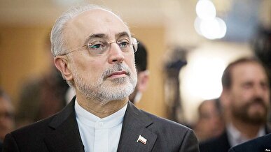 صالحی: کشورهای همسایه تمایلی ندارند با تحریف نام خلیج فارس هم‌ذات‌پنداری کنند
