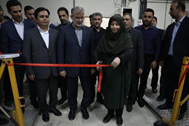 شینا انصاری: توسعه انرژی‌های تجدیدپذیر در اولویت دولت چهاردهم قرار دارد