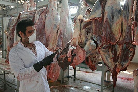 تأکید دامپزشکی کشور بر بهداشت فرآورده‌های دامی