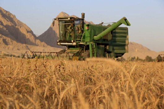 مشارکت ۳۷ هزار کشاورز اردبیلی در طرح جهش تولید دیمزارها