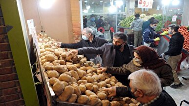 قیمت سیب‌زمینی تک نرخی شد