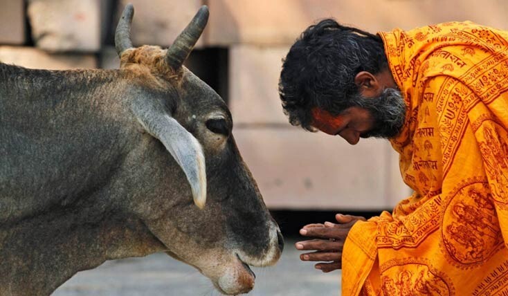 هندوستان، سرزمین عجائب