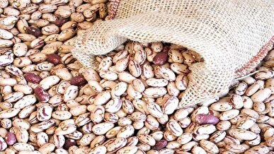 قیمت لوبیا چیتی به ۳۲۰ هزارتومان رسید