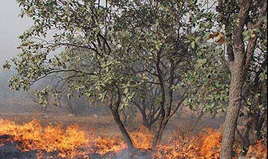 مهار آتش‌سوزی جنگل‌های مانشت ایلام