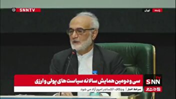 ایروانی: یک درصد افزایش نرخ ارز در بازار غیر رسمی، نیم درصد تورم را افزایش می‌دهد