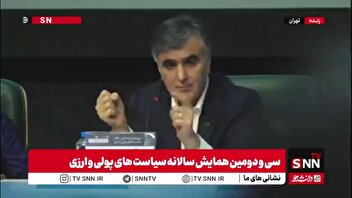فرزین: تصویری که از ریال ایران در خارج از کشور وجود دارد درست نیست
