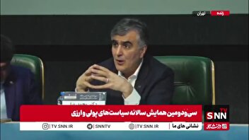 فرزین: هر ایرانی 10 حساب بانکی دارد