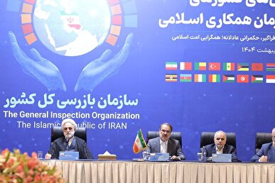 اژه‌ای: کسی که وقعی برای قانون قائل نیست، باید مجازات شود