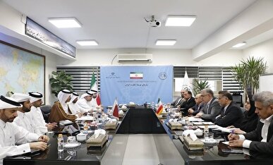 تاکید رئیس سازمان توسعه تجارت بر تسهیل روابط تجاری ایران و قطر