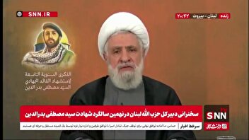 شیخ نعیم قاسم: نتانیاهو می خواست حیات غزه را از بین ببرد اما نخواهند توانست