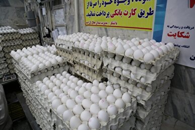 قیمت انواع تخم مرغ پوست سفید در تهران اعلام شد