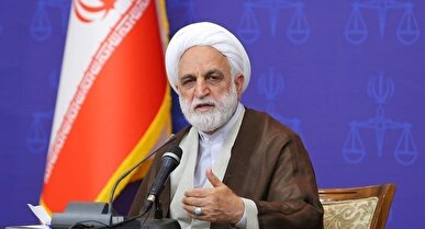 محسنی اژه‌ای: نباید همه گزارش‌ها و نظارت‌های سازمان بازرسی محرمانه باشد
