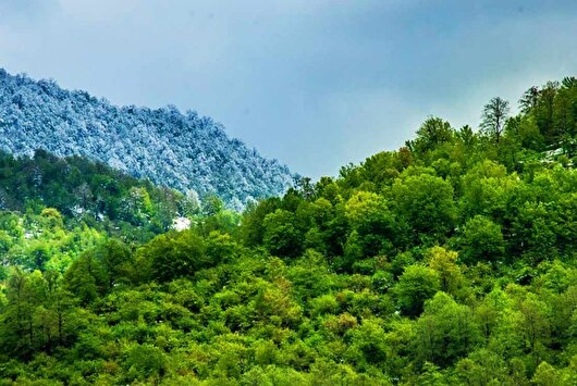 دهلران بیشترین سهم را در پدیده گرد و غبار ایلام دارد