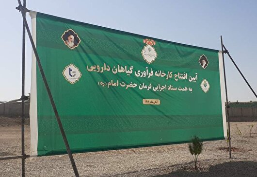 کارخانه میلیاردی گیاهان دارویی گچساران خاک می‌خورد و مسئولان تماشا می‌کنند!+ فیلم