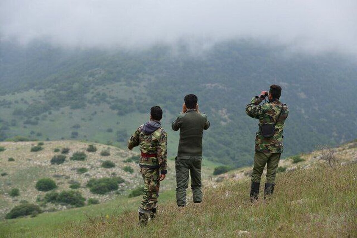 پارک ملی تندوره، ذخیرهگاه گونههای جانوری و گیاهی است