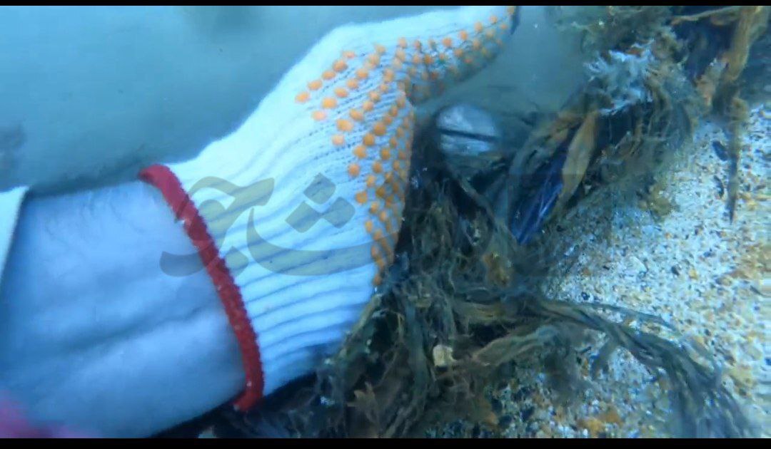 غواصان ارتش جلوی قطع اینترنت در خارگ را گرفتند/  نگاهی  به چالش های قطع اینترنت در مهم ترین هاب نفتی کشور  + عکس وفیلم اختصاصی دانشجو