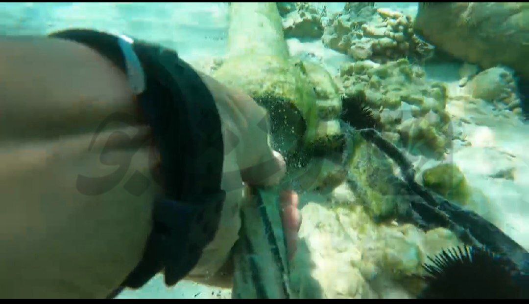 غواصان ارتش جلوی قطع اینترنت در خارگ را گرفتند/  نگاهی  به چالش های قطع اینترنت در مهم ترین هاب نفتی کشور  + عکس وفیلم اختصاصی دانشجو