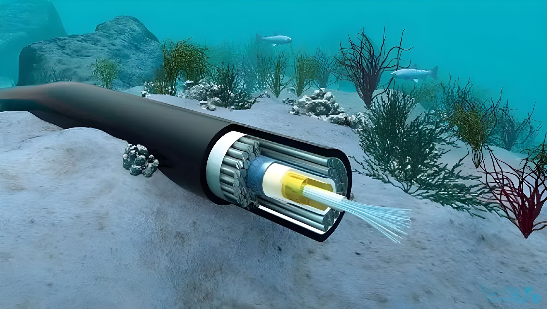 غواصان ارتش جلوی قطع اینترنت در خارگ را گرفتند/  نگاهی  به چالش های قطع اینترنت در مهم ترین هاب نفتی کشور  + عکس وفیلم اختصاصی دانشجو