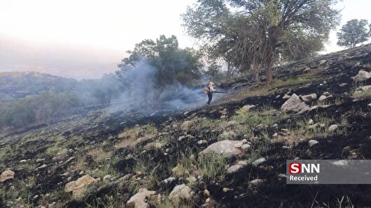 مهار آتش‌سوزی گسترده در ارتفاعات روستای گردوه با تلاش نیرو‌های مردمی و منابع طبیعی