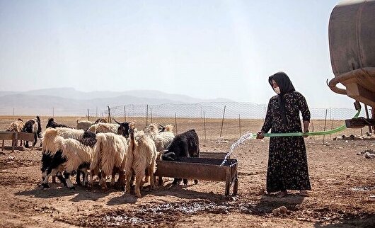 مشکل آب عشایر ایوان به‌زودی رفع می‌شود