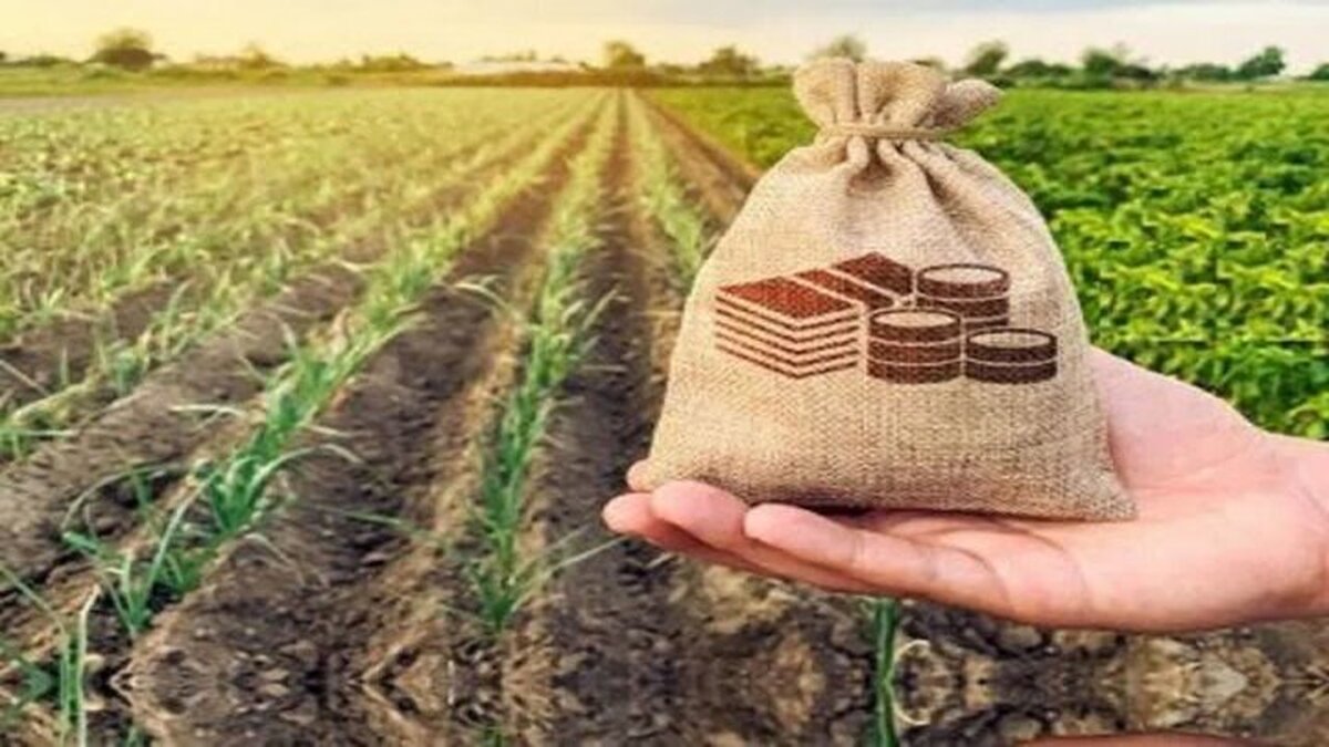 صندوقهای حمایت بخش کشاورزی با تزریق منابع تقویت میشوند