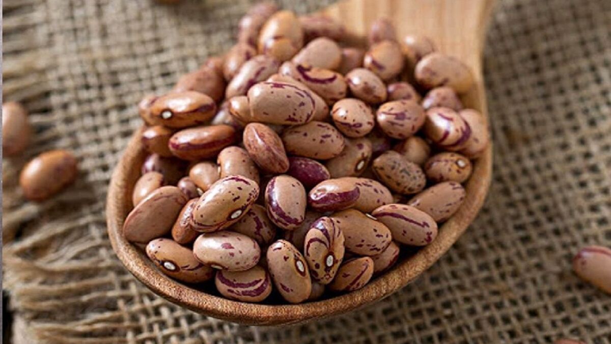 دلایل کاهش 50 درصدی قیمت لوبیا چینی در بنکداری ها؛ اتحادیه یا خشکسالی