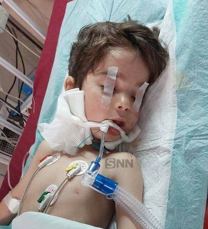 فریاد زخم&zwnj;های هاری و سکوت قانون/وقتی خیابان&zwnj;ها برای بازی کودکان امن نیستند