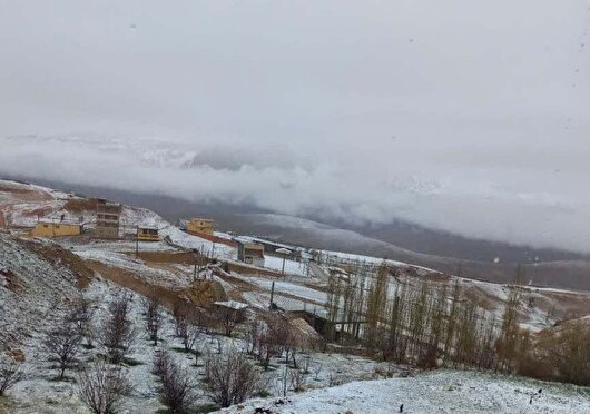سرما و یخبندان ۸ هزار میلیارد ریال به کشاورزی خلخال خسارت زد