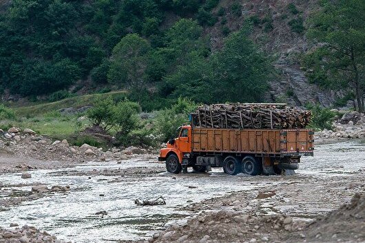 دستگیری قاچاقچی سابقه‌دار چوب در نور مازندران