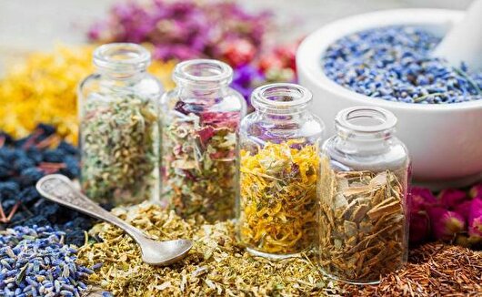 صادرات ۱۰ میلیون دلاری گیاهان دارویی استان اصفهان