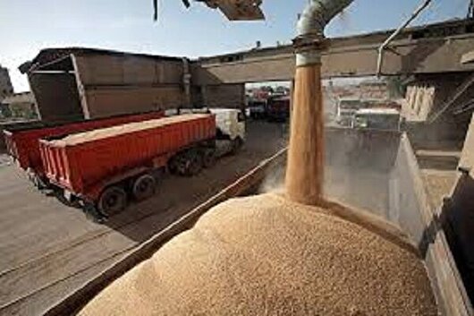 آمادگی ناوگان باری گلستان برای جابجایی ۲ میلیون تُن محصول زراعی